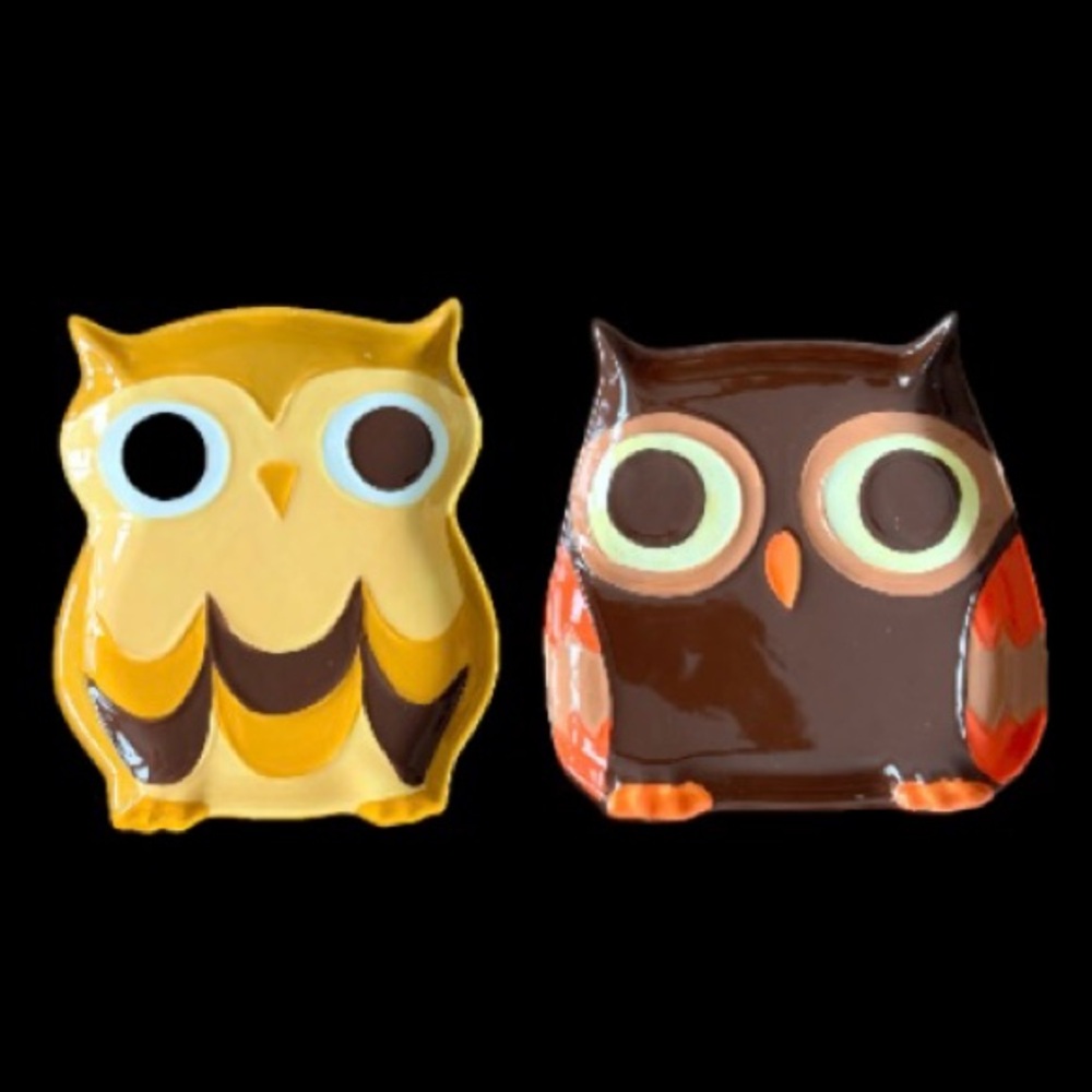 Mesa Home Set Of Two Owl Trays MCM Retro Boho Charming Artsy